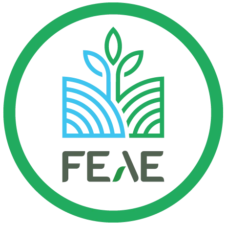 FEAE LOGO