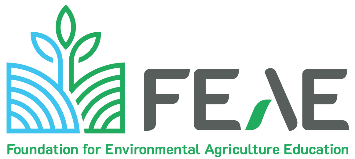 FEAE Logo